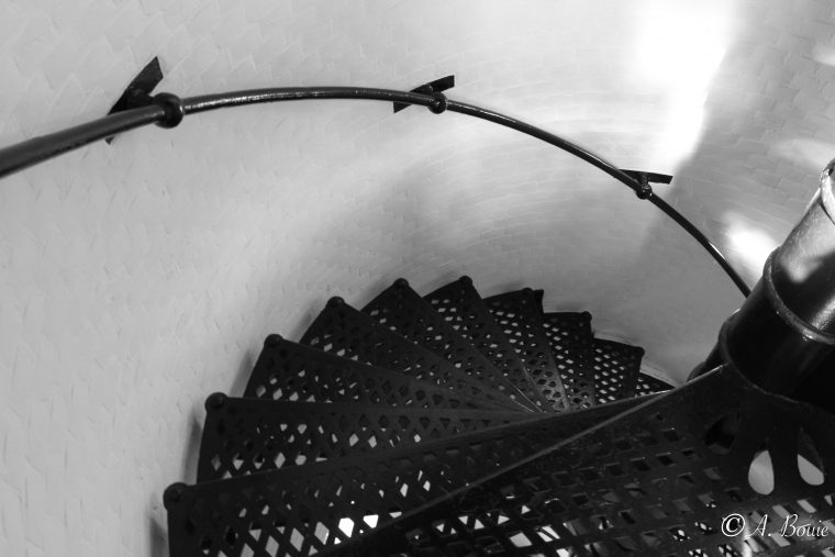 BLACK & WHITE